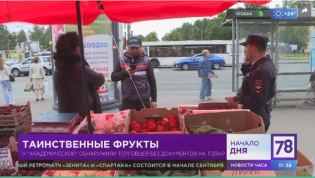Протоколы есть, а толку нет.